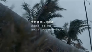 تست مقاومت خودرو Yangwang U8 با یک نخل ۱٬۸۰۰ کیلوگرمی