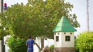 بر مدار تلاش | روایت یک روز کاری در پردیس قسمت چهارم: واحد فضای سبز