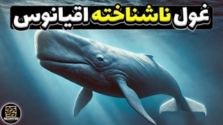 نهنگ عنبر؛ غول اعماق آب‌ها که صدایش ترسناک‌تر از زلزله است!