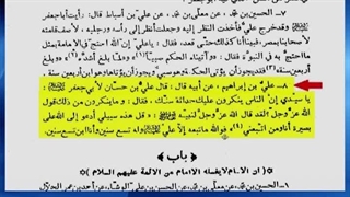 چگونه امام جواد علیه السلام در سن کودکی به امامت رسیدند ؟