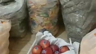 موسسه خیریه دلهای مهربان در رشت