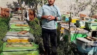 فروشگاه عسل مطهر در لاهیجان