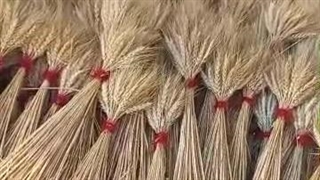 پرورش و پخش ماهی تزئینی قرمز یکتا در رشت