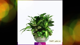 سفارش دیش گاردن سبز