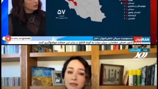 اگه در ایران یه گربه هم بیوفته پاش بشکنه تقصیر جمهوری اسلامیه