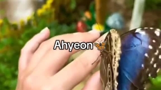 بمون ورژن حیوون