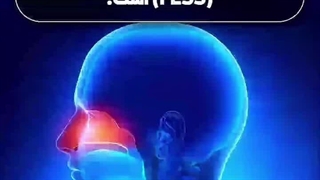 آشنایی با علائم و روش های درمان سینوزیت حاد