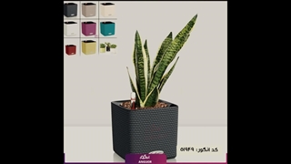 سفارش گلدان خودآبیاری هوشمند