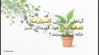 برترین_گیاهان_برای_تصفیه_هوا