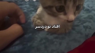 کپشن معرفی فمیلی مون!