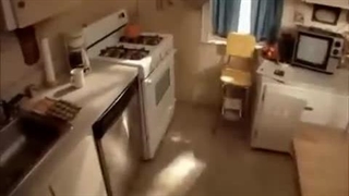 Simulation of Paranoid Schizophrenia