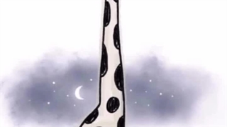 تو غمگینی ولی تا حالا به زندگی زرافه ها دقت کردی ؟