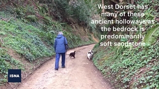 جاده های حُفره ای - شهرستان دورست انگلستان