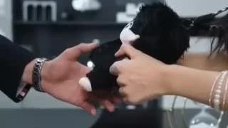 مینی سریال آقای عروسکی قسمت ۲