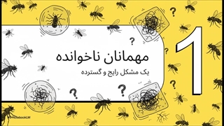 کارت حشره گیر