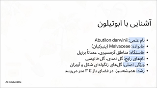 تحلیل_منابع__ابوتیلون_(گل_نمدی)