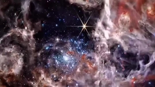 انسان بهترین مخلوق خداست ؟