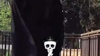 (#ﾟДﾟ) ﾍ(;´Д｀ﾍ)