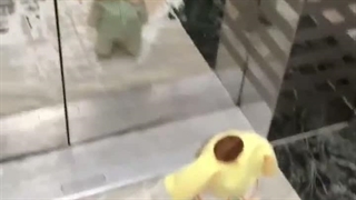 نگاا کن چقد کوشولوعه اوخودا