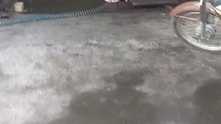 ژنراتور در رشت