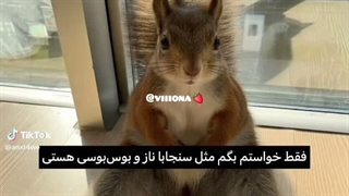 میووو
