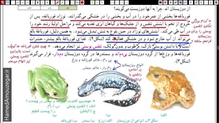 علوم نهم - فصل 14 - بخش دوم