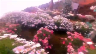بگو چی شده؟؟