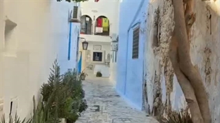 تور گردشگری تونس