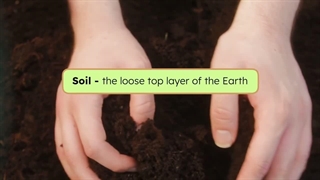 Soil layers