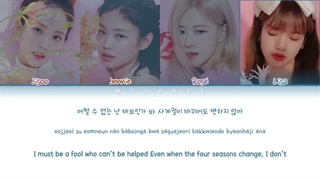 لیریک Hope not از BLACKPINK²