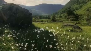 ࿔⭒