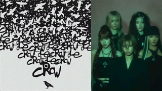 لیریک و لیریک فارسی آهنگ CROW در چنل قرار گرفت