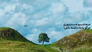 ممنتو آموریس…