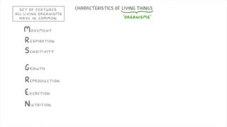 characteristics of life