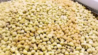 کاربرد ازن در نگهداری خشکبار و انجیر | راهکار صادراتی الو ازن