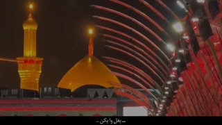 ادامه‌دادن‌زندگی‌بدون‌مداحی‌های‌ایشون‌هم‌مگه‌میشه؟! عجیب‌خوش‌صداست