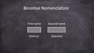 binomial nomenclature