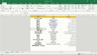 ✔ دانلود نمونه فایل اکسل برای اعتبار سنجی ورودی ها