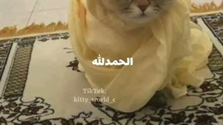 وای جر خوردم سرش
