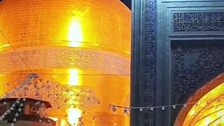 معجزه امام رضا