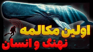 چگونه چت جی_پی_تی زبان نهنگ_ها را ترجمه می_کند؟