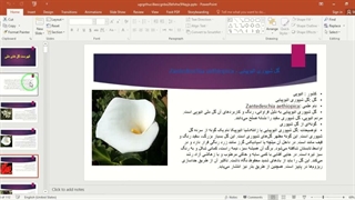 ✔ تحقیق آماده در مورد گل های ملی نماد یک کشور در قالب فایل پاورپوینت دارای 112 اسلاید