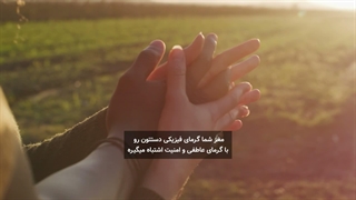 آیا قهوه باعث ضرر در ترید می‌شود؟ | اثر پرایمینگ و روانشناسی معامله‌گری