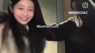 Wonhee core: