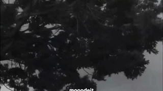 دلیل اینکه این هوا رو دوست دارم:))