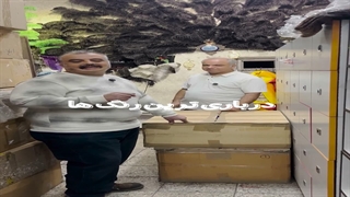 پرشترمرغ افریقایی