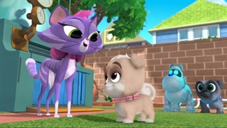 S02E09-Windy City Sham pooch