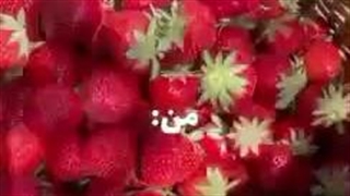 ترکیبمون؟؟؟؟؟
