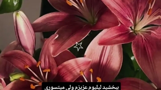 تقدیم به نوه گلم میتسوری