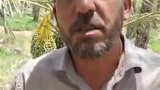 صلح داغون کننده
